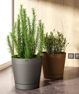 tera Pot de fleurs 