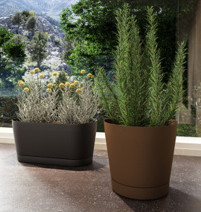 tera Jardinière 