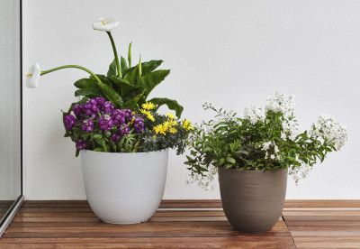 tera Pot de fleurs 
