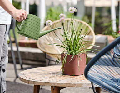 tera Arrosoir 