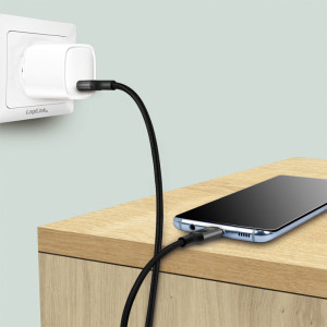 LogiLink Câble de chargement USB 2.0, C-mâle - C-mâle, 2 m