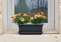 tera Jardinière  tera Jardinière