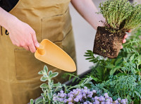 tera Pelle de jardin/à fleurs tera Pelle de jardin/à fleurs