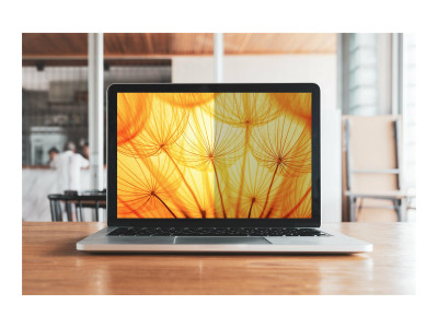 3M : BRIGHT SCREEN PRIVACY FILER pour DELL LATITUDE 9510