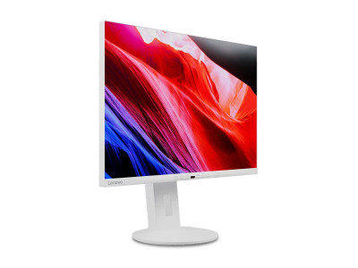 Lenovo : THINKVISION C24D-20 IPS 24IN 16:10 1920X1200 300 CD/M2-HP 2X2