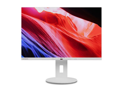 Lenovo : THINKVISION C24D-20 IPS 24IN 16:10 1920X1200 300 CD/M2-HP 2X2