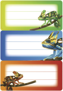 HERMA Buch-Etiketten VARIO SCHULE Dino