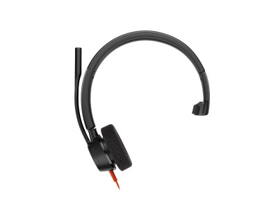 HP - Poly : POLY BW 3315 -M USB-C HS +USB-C/A