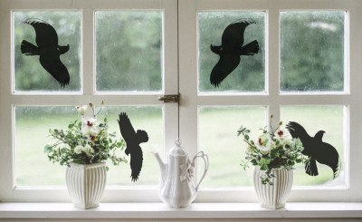 AVERY Zweckform Silhouettes d'oiseaux pour fenêtre, noir