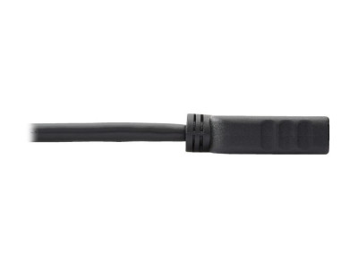 Eaton MGE : DISPLAYPRT TO HDMI VIDEO ADPTR CNVRTR 1920X1080 M pour 0.3M BLK