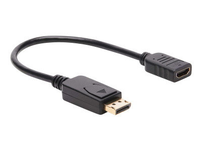 Eaton MGE : DISPLAYPRT TO HDMI VIDEO ADPTR CNVRTR 1920X1080 M pour 0.3M BLK