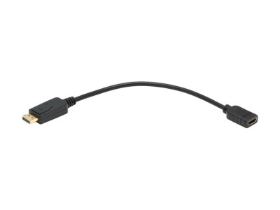 Eaton MGE : DISPLAYPRT TO HDMI VIDEO ADPTR CNVRTR 1920X1080 M pour 0.3M BLK