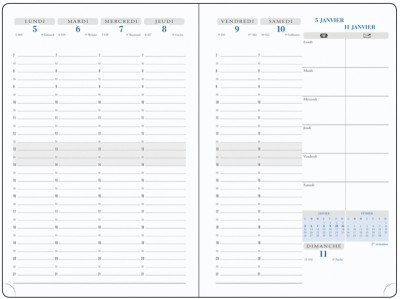 EXACOMPTA Agenda semainier SAS 20 Visuel 7, 2024/25, assorti