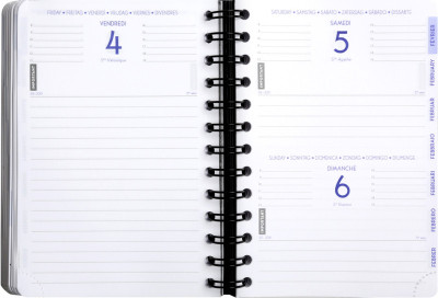 EXACOMPTA Agenda scolaire Forum Linicolor, 2024/25, assorti