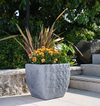 tera Cube à plantes tera Cube à plantes