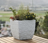 tera Cube à plantes  tera Cube à plantes