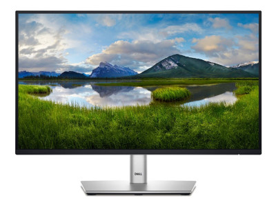 Dell : DELL 22 MONITOR - P2225H