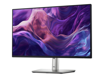 Dell : DELL 24 MONITOR - P2425H