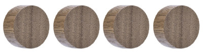 magnetoplan Aimant néodyme Wood Series Circle, bouleau