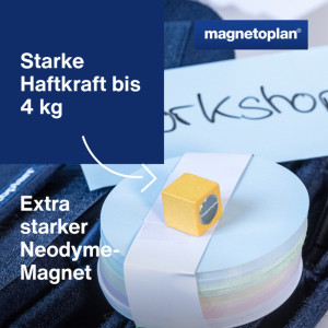 magnetoplan Aimant néodyme Wood Series Cube, coloré