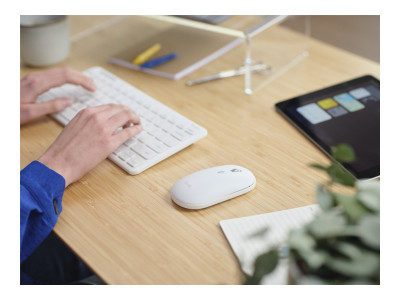 Trust : LYRA BLUETOOTH WIRELESS KEYBOARD et MOUSE pack - ECO -