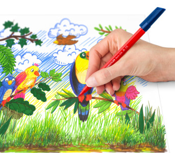 STAEDTLER Feutre Noris, étui carton de 10