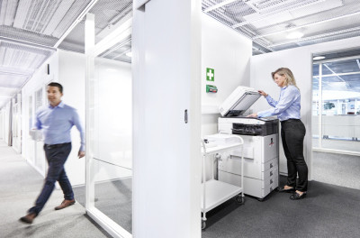 CEDERROTH Distributeur pansements Salvequick XRay Detectable
