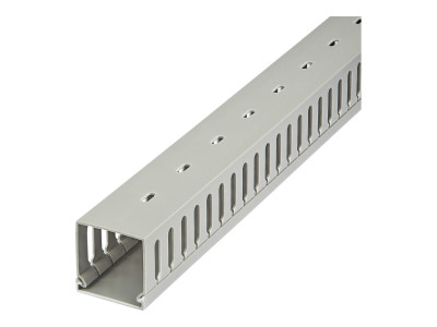Startech : CHEMIN de CABLES avec SLOTS 2M - 50 X 50MM