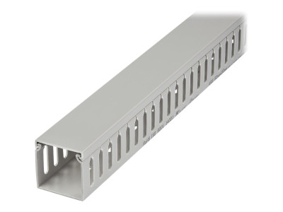 Startech : CHEMIN de CABLES avec SLOTS 2M - 50 X 50MM