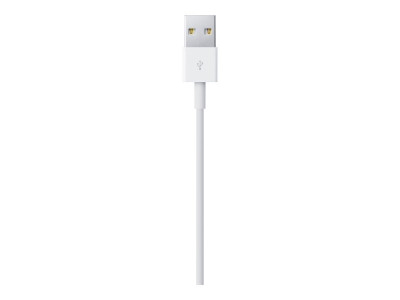 Apple : LIGHTNING TO USB cable (0.5 M) ML