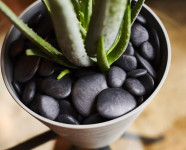 tera Pierres décoratives  tera Pierres décoratives