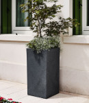 tera Colonne à plantes tera Colonne à plantes