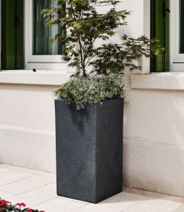 tera Colonne à plantes 