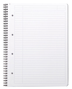 RHODIA Cahier à spirale GREENBOOK, A4+, quadrillé, noir