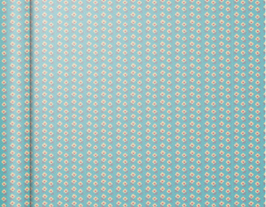 Papier cadeau Clairefontaine « Petits Rouleaux Carrés Verts »