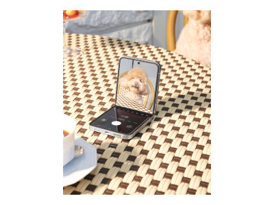 Samsung : GALAXY Z FLIP6 5G ENT EDITION 256GB 12GB 6.7IN ANDROID GRIS (andrd)