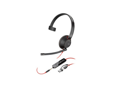 HP - Poly : POLY BW 5210 USB-C HS +USB-C/A (BULK)