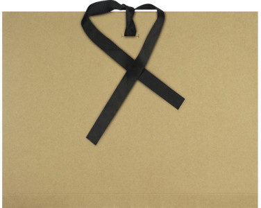 kangaro Carton à dessin Kraft, A3, carton, avec ruban