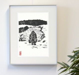 kangaro Carton plume, A4, épaisseur: 5 mm, noir