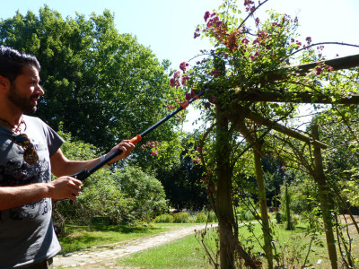 Garten PRIMUS Ressort de rechange pour coupe-branches