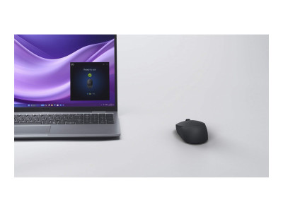 Dell : DELL SILENT MOUSE - MS355