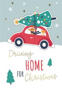 Carte de Noël Cactus « Queue d'étoile »