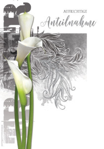 Carte de condoléances Cactus « Sentiers de pissenlits »