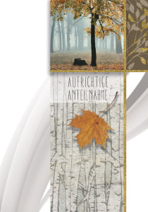 Carte de condoléances Cactus « Croix avec roses roses »