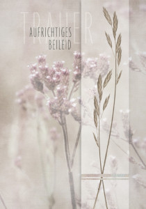 Carte de condoléances Cactus « Croix »