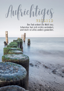 Carte de condoléances Cactus « Croix »