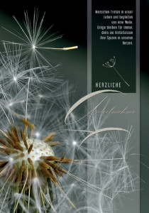 Carte de condoléances Cactus « Rose »