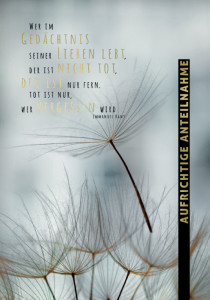 Carte de condoléances Cactus « Fleurs blanches »