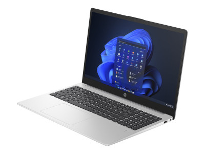 HP : 250 G10 I3-1315U 8GB 256GB 15IN W11P (ci3g13)