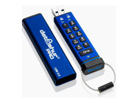 iStorage : DATASHUR PRO USB3 256-BIT 256GB IS-FL-DA3-256-256